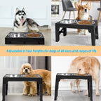SpineLift™ Posture Safe Elevated Dog Feeder