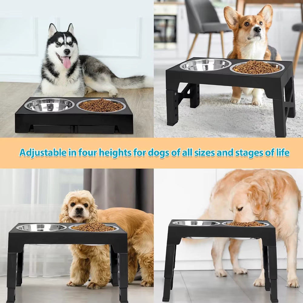 SpineLift™ Posture Safe Elevated Dog Feeder