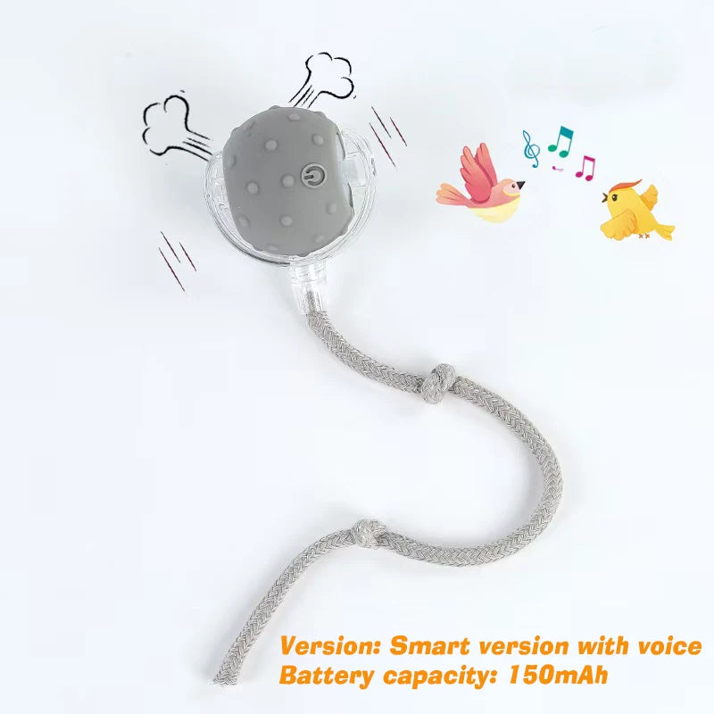 New Cat Interactive Ball Toy,Automatic Rolling Cat Ball Rechargeable,Smart Kitten Interactive Toy,Intelligent Balls Toy for Cat