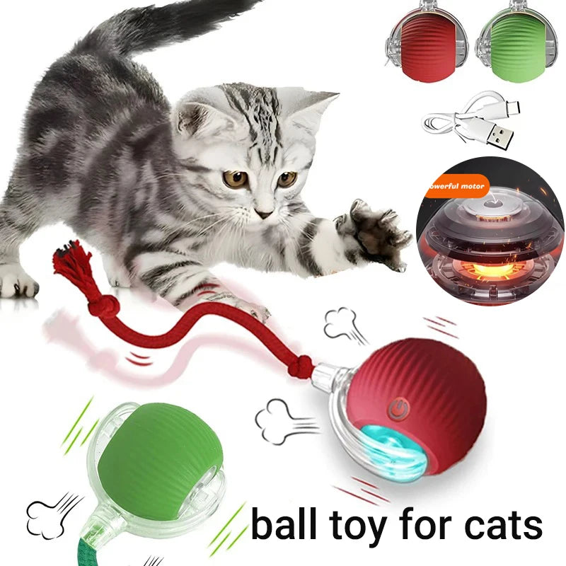 New Cat Interactive Ball Toy,Automatic Rolling Cat Ball Rechargeable,Smart Kitten Interactive Toy,Intelligent Balls Toy for Cat