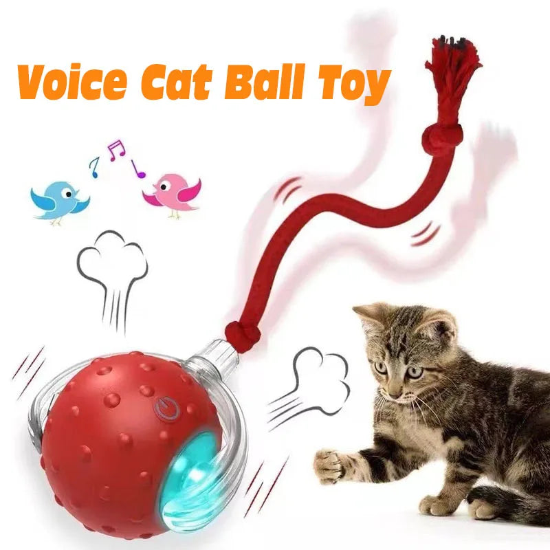 New Cat Interactive Ball Toy,Automatic Rolling Cat Ball Rechargeable,Smart Kitten Interactive Toy,Intelligent Balls Toy for Cat