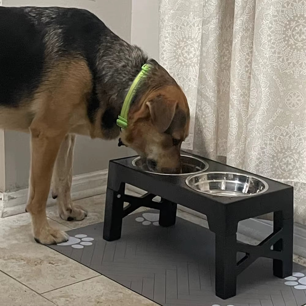 SpineLift™ Posture Safe Elevated Dog Feeder