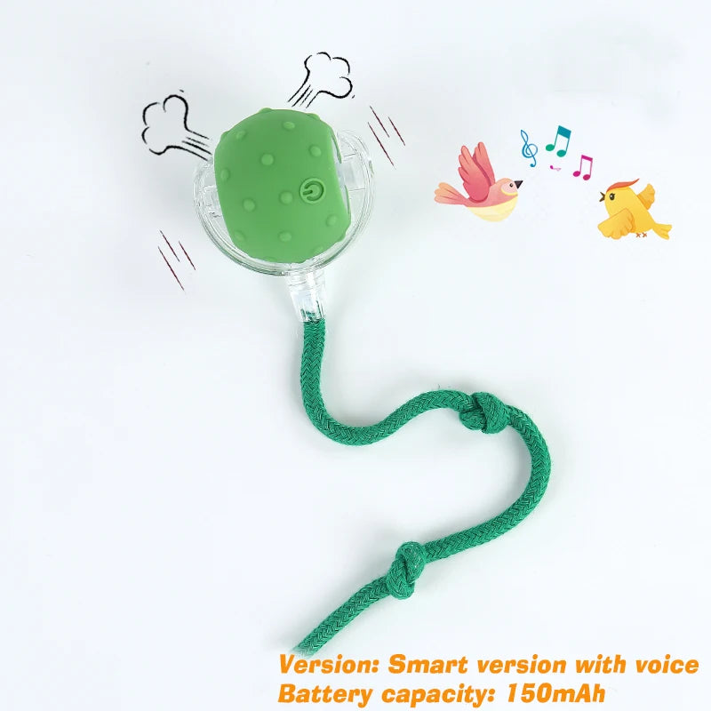 New Cat Interactive Ball Toy,Automatic Rolling Cat Ball Rechargeable,Smart Kitten Interactive Toy,Intelligent Balls Toy for Cat